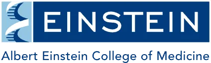 Albert Einstein College of Medicine &mdash; NY Headshots ERAS photo client